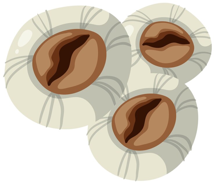 Vector gratuito percebes aislado animal de la costa rocosa