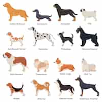 Vector gratuito perfil de conjunto de iconos de perros