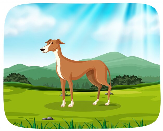 Vector gratuito perro en escena de la naturaleza