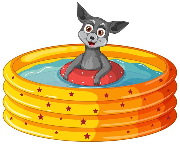 Un perro feliz en piscina inflable sobre fondo blanco.