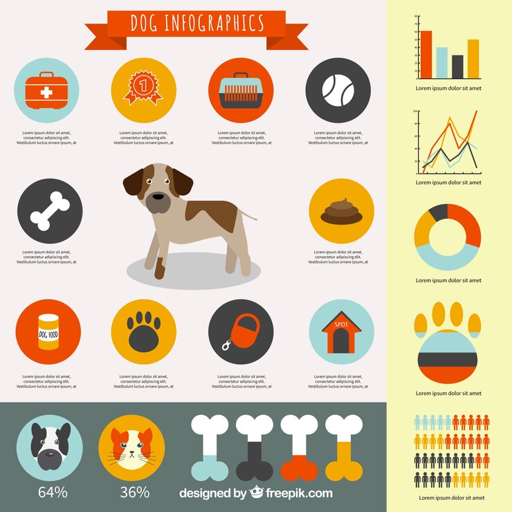 Vector gratuito perro infografía