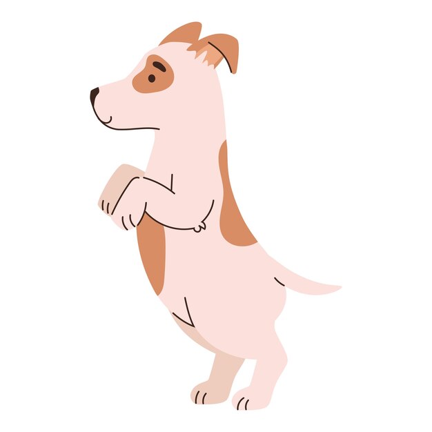 El perro Jack Russell Terrier