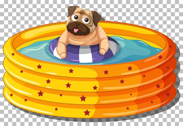 Perro Pug en piscina inflable