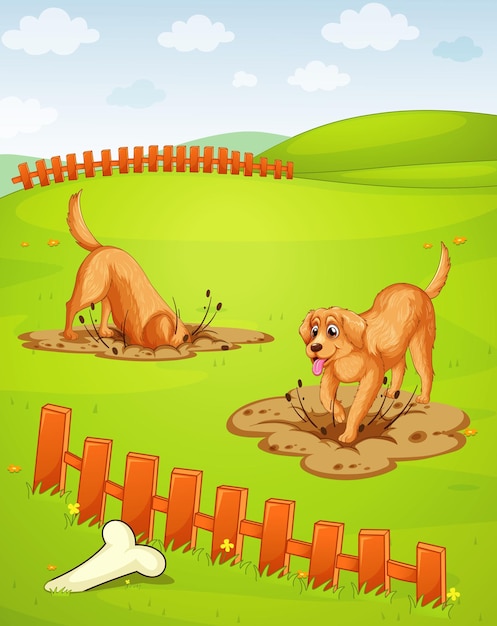 Perros cavando hoyos en el suelo