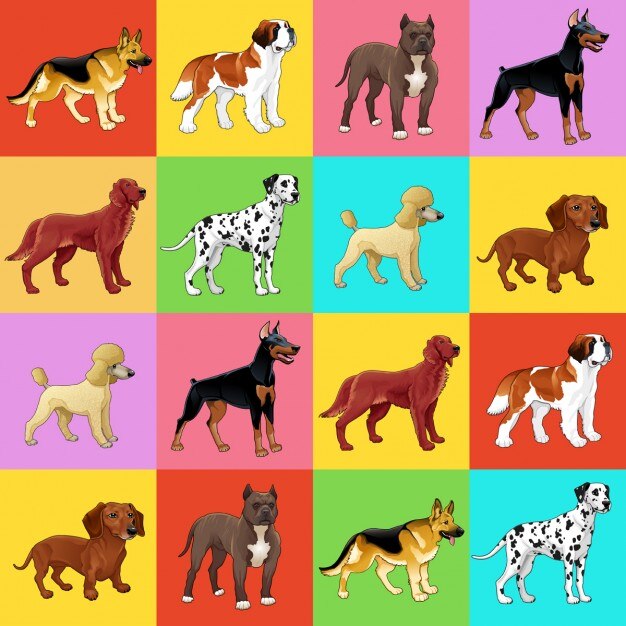 Perros diferentes