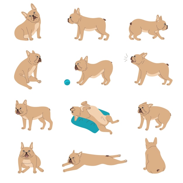 Perros emociones lenguaje corporal conjunto con símbolos de actividad ilustración vectorial aislada plana