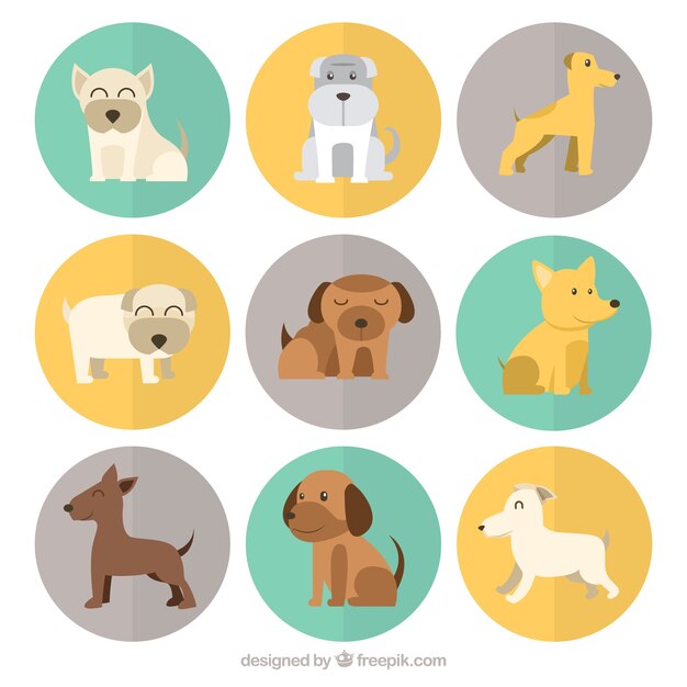 Perros fantásticos con diferentes razas