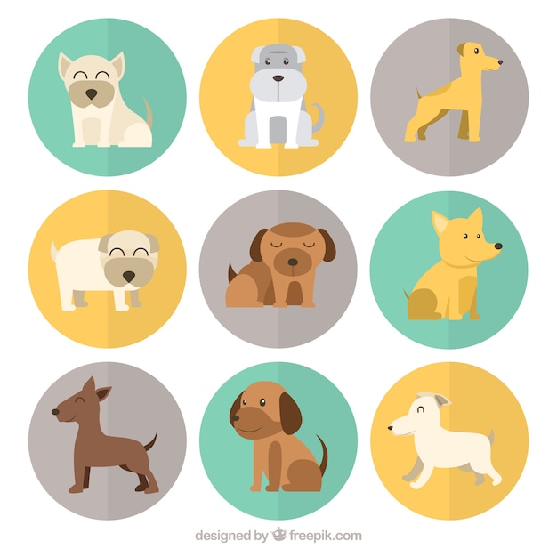 Perros fantásticos con diferentes razas
