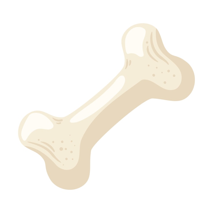 Vector gratuito los perros necesitan calcio para tener dientes y huesos fuertes.