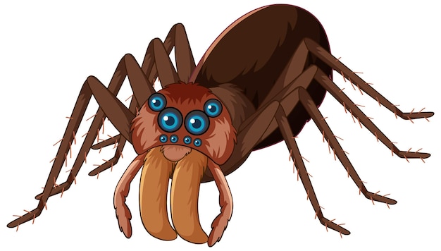 Vector gratuito un personaje de dibujos animados de araña aislado