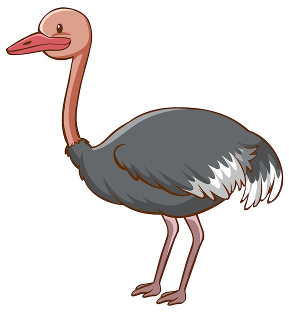 Personaje de dibujos animados de avestruz sobre fondo blanco