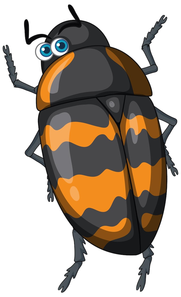 Vector gratuito un personaje de dibujos animados de escarabajo aislado