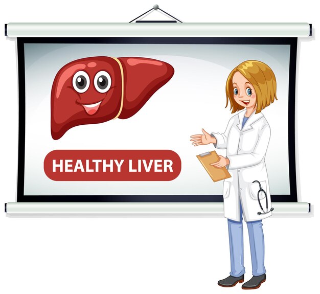 Un personaje de dibujos animados médico que explica el hígado sano