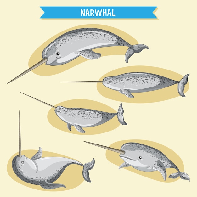 Personaje de dibujos animados narwhale en diferentes poses