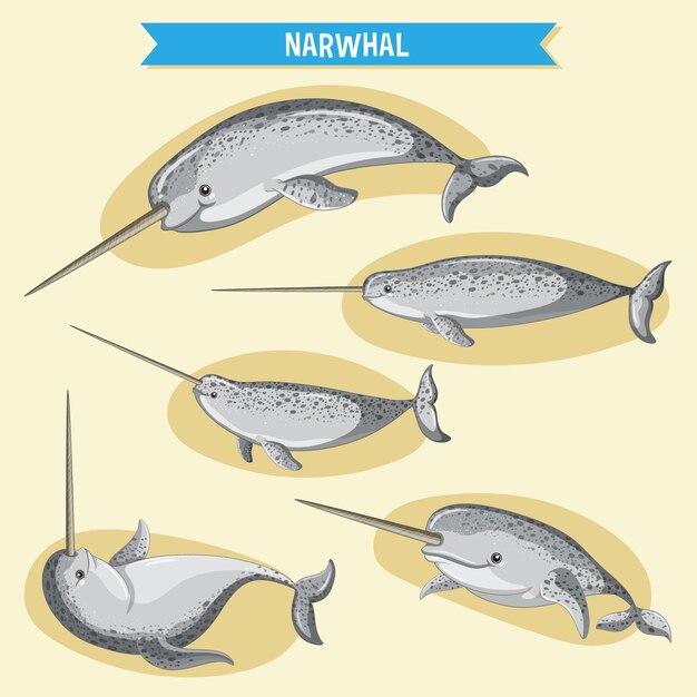 Personaje de dibujos animados Narwhale en diferentes poses