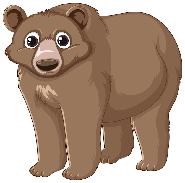 Personaje de dibujos animados de oso de pie sobre fondo blanco.