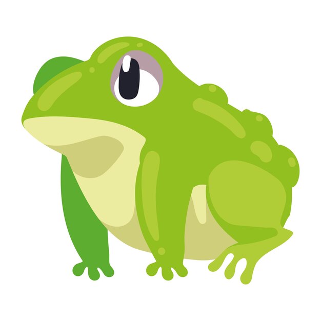 personaje de la temporada de primavera animal sapo