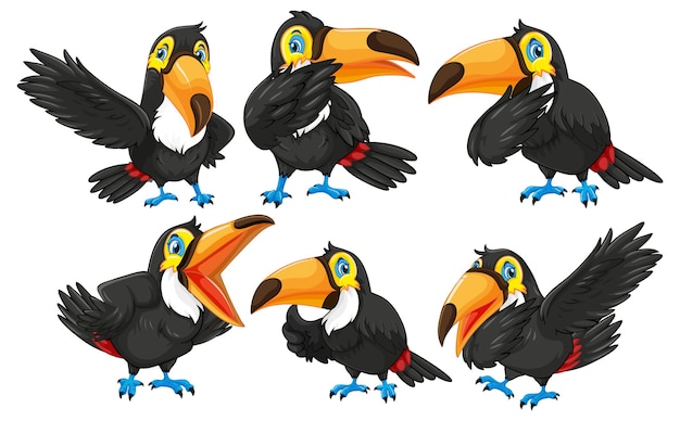 Personajes de dibujos animados de pájaros tucán