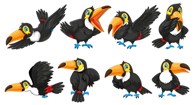Personajes de dibujos animados de pájaros tucán