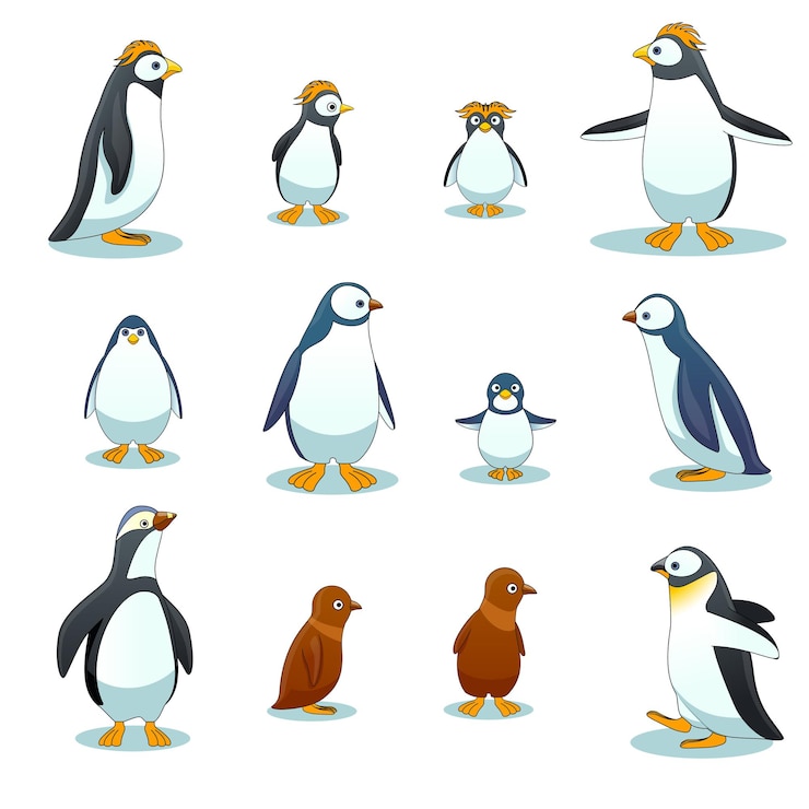 Vector gratuito personajes de pingüinos en varias poses conjunto de vectores. ilustración de pingüino animal, pingüino de dibujos animados, pingüino pájaro de invierno