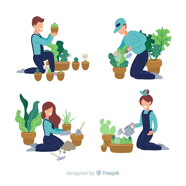 Personas cuidando plantas