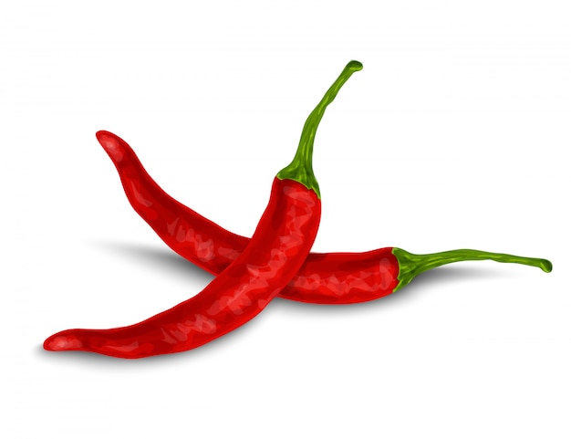 Pimienta de chile aislada en blanco