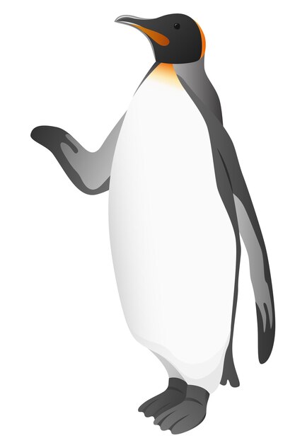 Pingüino aislado ilustración vectorial