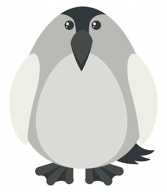 Pingüino de color gris.