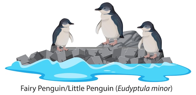 Vector gratuito pingüino de hadas o dibujos animados de pingüinos pequeños en la roca