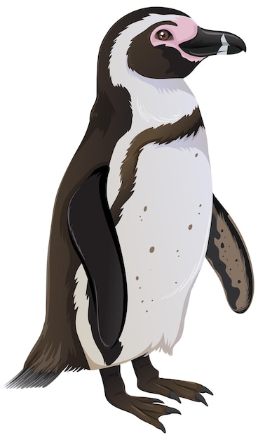 Vector gratuito pingüino de humboldt sobre fondo blanco