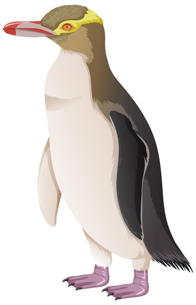 Pingüino de ojos amarillos sobre fondo blanco.