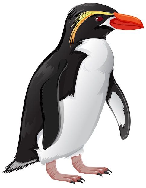 Vector gratuito pingüino de trampas sobre fondo blanco