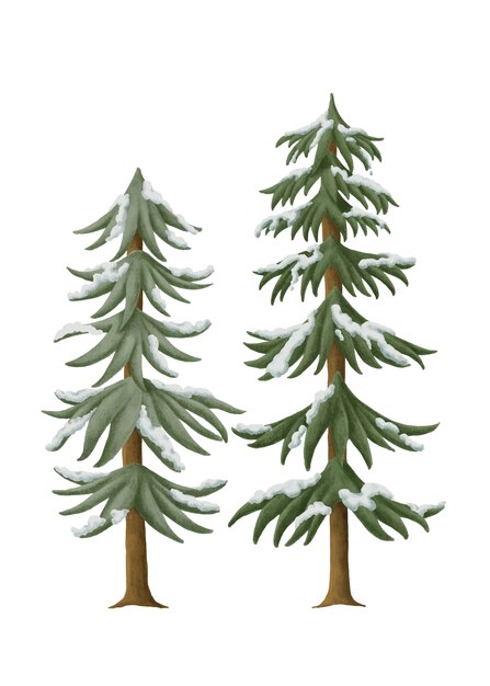 Pinos nevados dibujados a mano