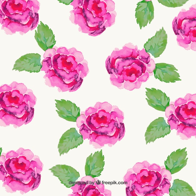 Pintadas a mano flores de color rosa