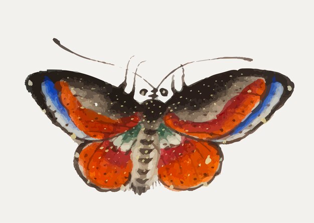 Pintura china de una mariposa colorida.