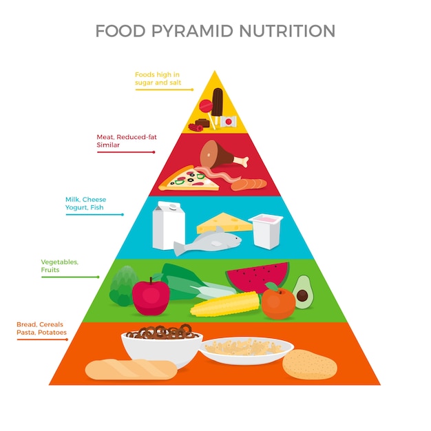 Vector gratuito pirámide alimenticia y dietética