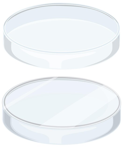 Placa de Petri de vidrio sobre fondo blanco.
