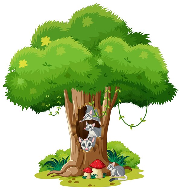 Planeadores del azúcar que viven en el árbol hueco