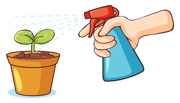 Planta y botella de spray sobre fondo blanco.