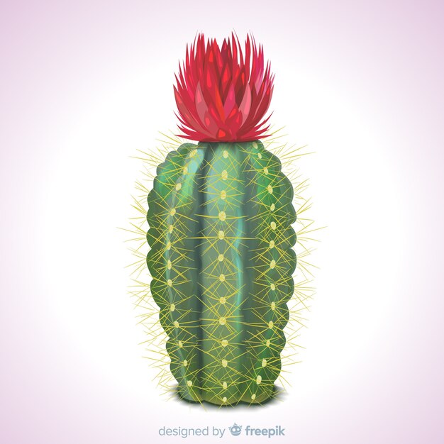 Planta de cactus en estilo realista