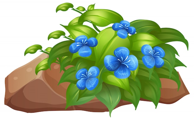 Vector gratuito planta con flores azules sobre blanco