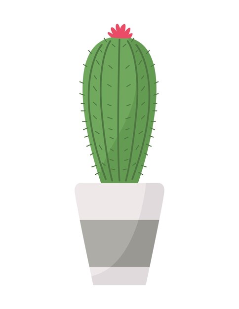 Planta de interior cactus en maceta icono de naturaleza