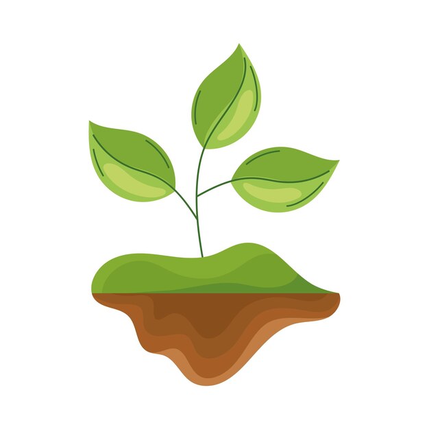 planta jardín naturaleza