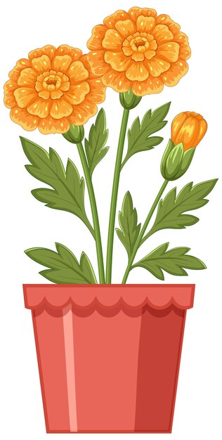 Una planta de manígolda vibrante en una olla de terracota