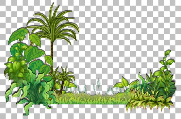 Planta tropical sobre fondo transparente