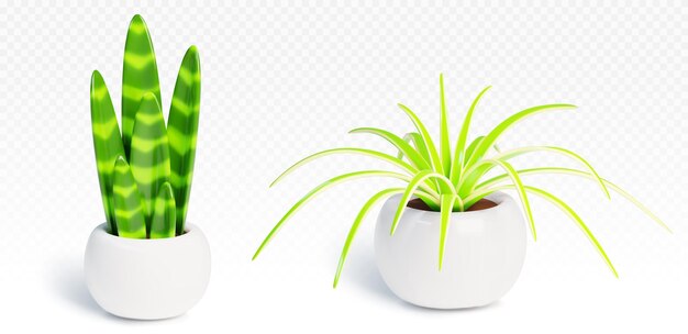 Planta verde de casa realista en 3D en la ilustración de la olla