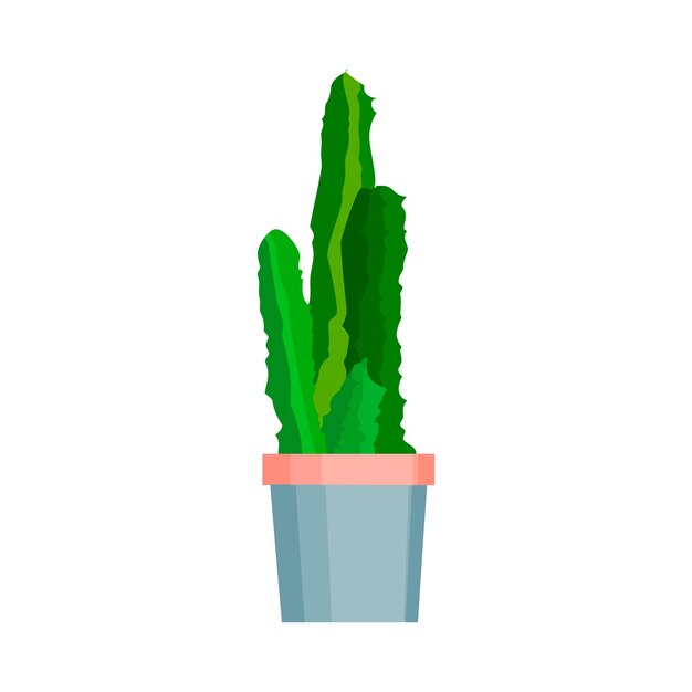 Planta verde en maceta sobre un fondo blanco