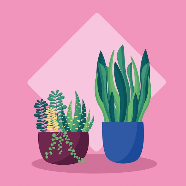 Vector gratuito plantas decorativas diseño de imagen plana