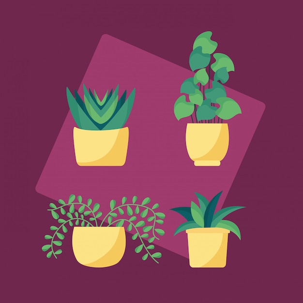 Vector gratuito plantas decorativas diseño de imagen plana