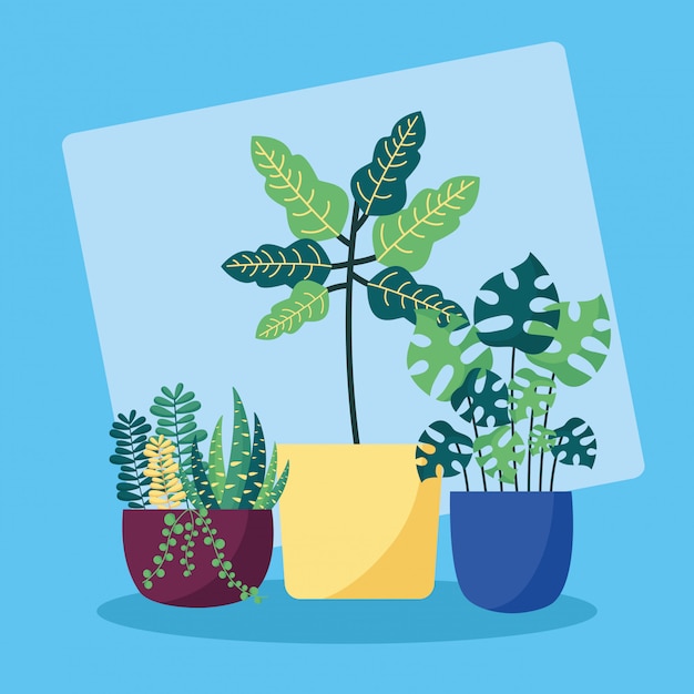 Vector gratuito plantas decorativas diseño de imagen plana